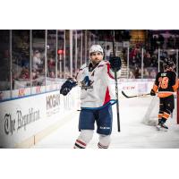 Springfield Thunderbirds after a goal against the Lehigh Valley Phantoms
