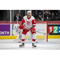 Grand Rapids Griffins defenseman Jonathan Ericsson