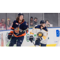 Greenville Swamp Rabbits defenseman Brien Diffley (left) vs. the Norfolk Admirals