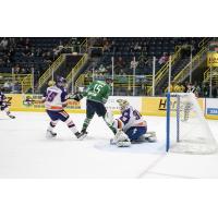 Cam Maclise of the Florida Everblades (in green) vs. the Orlando Solar Bears