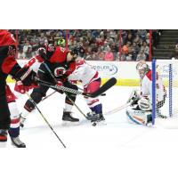 Allen Americans goaltender Zachary Sawchenko vs. the Cincinnati Cyclones