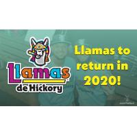 Llamas de Hickory logo