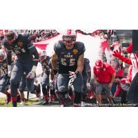 DL Skye King with York University