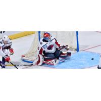 South Carolina Stingrays goaltender Parker Milner