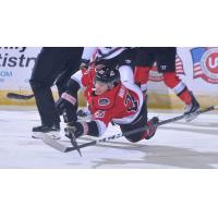 Ryan Walker of the Adirondack Thunder