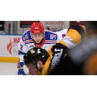Kitchener Rangers face off with the Kingston Frontenacs