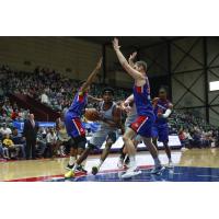 Grand Rapids Drive defend against the Greensboro Swarm