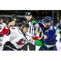 Maine Mariners fight the Adirondack Thunder