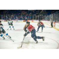 Tulsa Oilers left wing Danny Moyniham against the Idaho Steelheads