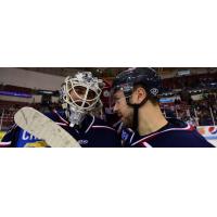 South Carolina Stingrays goaltender Billy Christopoulos