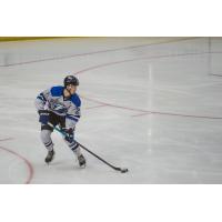 Fargo Force defenseman Noah Beck