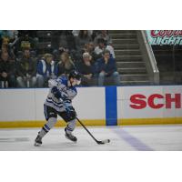 Fargo Force defenseman Noah Beck