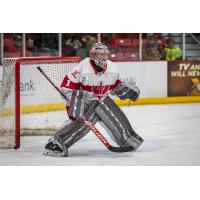 Dubuque Fighting Saints goaltender Erik Portillo