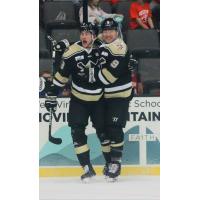 Wheeling Nailers react after Blake Siebenaler's game-winning goal