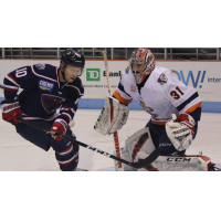 Greenville Swamp Rabbits goaltender Jeremy Helvig vs. the South Carolina Stingrays