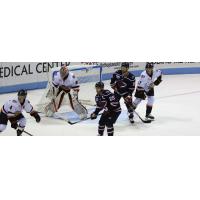 South Carolina Stingrays set up in front of Greenville Swamp Rabbits goaltender Jeremy Helvig