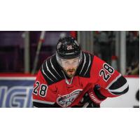Daniel Leavens of the BramptonÃ¢Â€ÂˆBeast