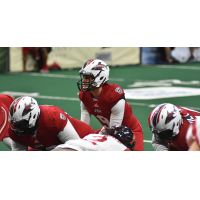 Jacksonville Sharks quarterback Mike Fafaul