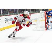 Center Anthony Louis with the Charlotte Checkers