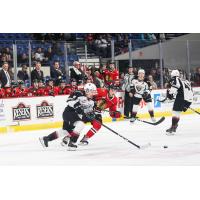Vancouver Giants centre Tristen Nielsen against the Portland Winterhawks
