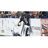 Wide receiver and kick returner Prince Shonola with the Carolina Cobras