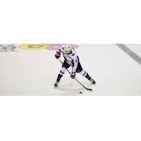 South Carolina Stingrays defenseman Tom Parisi