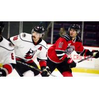 Adirondack Thunder center Casey Pierro-Zabotel (left) vs. the Brampton Beast