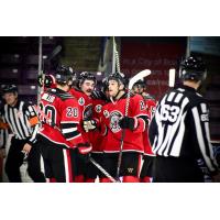 Brampton Beast celebrate a goal