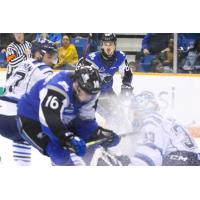 Saint John Sea Dogs centre Nicholas Deakin-Poot (16) vs. the Chicoutimi Sagueneens