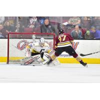 Cleveland Monsters goaltender Veini Vehvilainen stops the Chicago Wolves