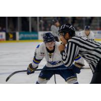 Gabe Temple of the Sioux Falls Stampede ready for a faceoff