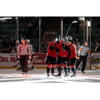 Prince George Cougars gather after a goal