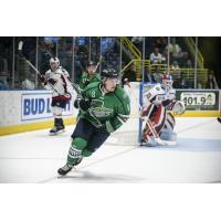 Florida Everblades forward Zach Magwood vs. the South Carolina Stingrays
