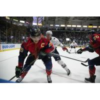 Florida Everblades forward John McCarron vs. the South Carolina Stingrays
