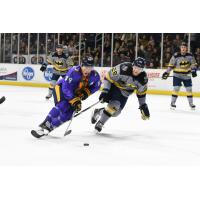 Atlanta Gladiators forward Eric Neiley vs. the Jacksonville IceMen (in Batman jerseys)