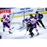 Utah Grizzlies score against the Orlando Solar Bears