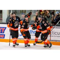 Danbury Hat Tricks celebrate a goal against the Battle Creek Rumble Bees
