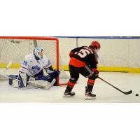 Matt Cameron of the New Jersey Titans eyes the Maine Nordiques goal