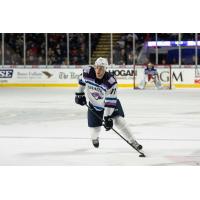 Springfield Thunderbirds defenseman Riley Stillman