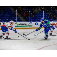 Defenceman Connor Horning with the Swift Current Broncos