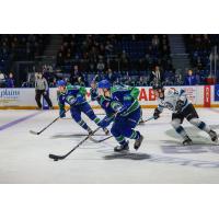 Defenceman Connor Horning with the Swift Current Broncos