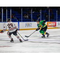 Defenceman Connor Horning with the Swift Current Broncos