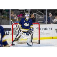 Sioux Falls Stampede goaltender Jaxson Stauber