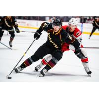 Cleveland Monsters center Zac Dalpe vs. the Charlotte Checkers