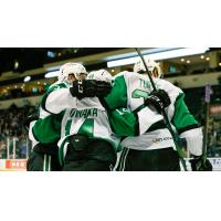 Texas Stars celebrate a goal against the Iowa Wild