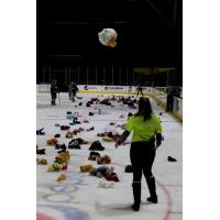 Bears fly on the ice at the Maine Mariners Teddy Bear Toss