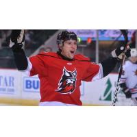 Adirondack Thunder celebrate a goal against the Indy Fuel