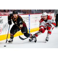 Cleveland Monsters left wing Nathan Gerbe (left) vs. the Charlotte Checkers