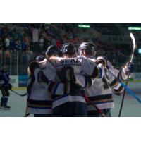 Sioux Falls Stampede congratulate Cameron MacDonald after a goal