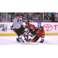 Adirondack Thunder forward James Phelan (24, right) in a pileup against the Brampton Beast